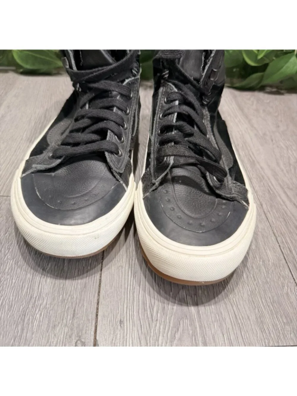 Vans please check